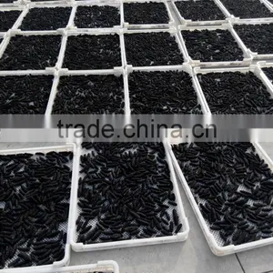 Tunnel Conveyor Belt Sterilizer Seaweed Dryer thumbnail-4