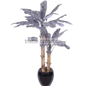 Bonsai Fruit Tree Bonsai Pots Chinese Bonsai thumbnail-3