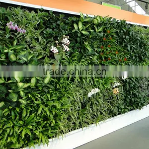HX201704194 Artificial Plants Wall Boards thumbnail-6
