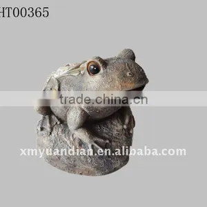 Frog With Pebbles on Wing thumbnail-1