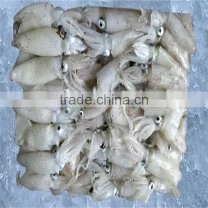 Frozen Baby Squid Wholesale Price From Good Factory thumbnail-1