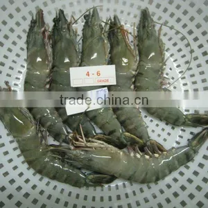 Shrimps thumbnail-1