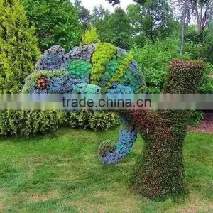 2015 Best Selling Various Shapes Artificial Panda Topiary Decorative Panada Topiary thumbnail-5