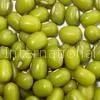 Green Mung Beans thumbnail-1