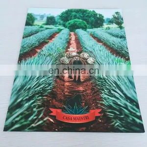 Guangdong Factory Custom Printing A4/A5 Novel/Softcover Book/softcover Photo Book Print thumbnail-1