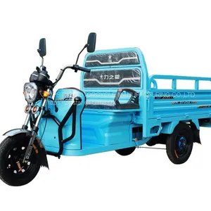 Tricycle thumbnail-2