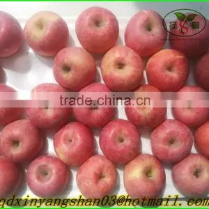 Chinese Red Fuji Apple/Apple Fresh thumbnail-2