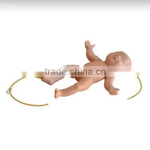 Advanced Infant Full Body Venipuncture Simulator thumbnail-1