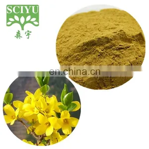 100% Natural Forsythia Fructus Extract Weeping Forsythia Extract thumbnail-2