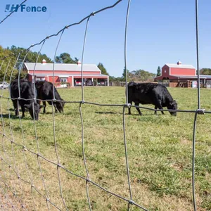 Wholesale Galvanized Grassland Wire Mesh Fence Cattle Farm Fence thumbnail-2