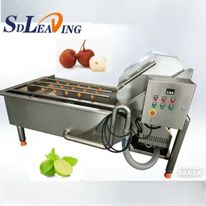 Fruit Cleaning Equipment Vegetable Cleaning Equipment Food Cleaning Machine thumbnail-1