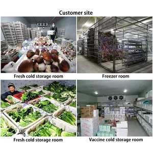 Customizable Mushrooms Fish Tomatoes Apples Fresh Flowers Onions Walk-in Cold Storage thumbnail-4