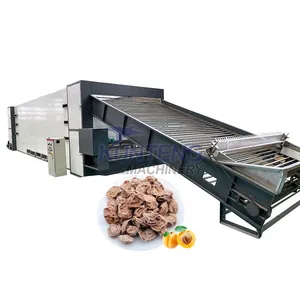 Burning Firewood Beef Jerky Eggplant Brown Leaves Mesh Belt Dryer Green Plum Dryer EPC thumbnail-1