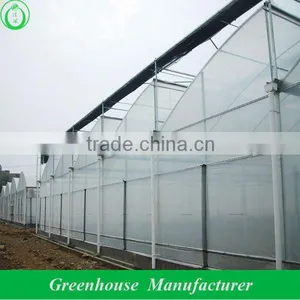 Plastic Sheet Greenhouse Cover thumbnail-1
