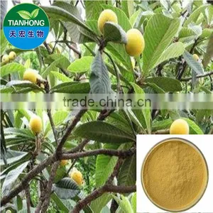 Pure Natural Epimedium Extract /Icariin thumbnail-2