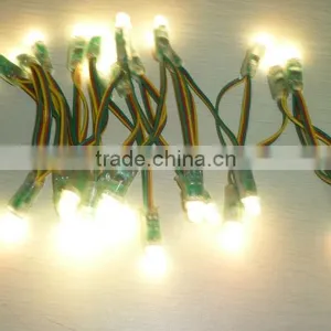 Express Mini Black Led String thumbnail-3