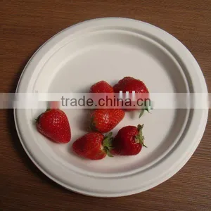Heavy Duty Paper Pulp Plate thumbnail-1