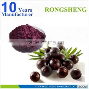 Hot Sale Freeze Dried Powder Organic Acai Berry thumbnail-5