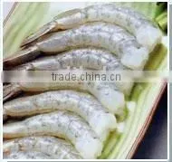 Vammanei White Shrimp (Penaeus Vannamei) thumbnail-1