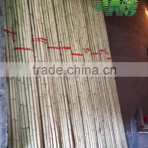 Moso Bamboo Pole Big Bamboo Pole thumbnail-1