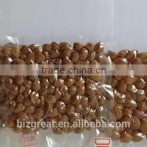Supply With Chinese Bulk Roasted Apricot Kernels in Shell thumbnail-4