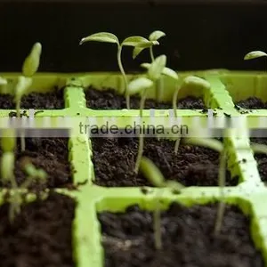 Seedling Tray thumbnail-1
