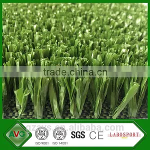 Volleyball Grass thumbnail-3