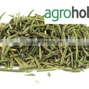 Turkish Rosemary , Cheap Rosemary , Rosemary Price , High Oil Rosemary ,dried Rosemary Leaves thumbnail-2