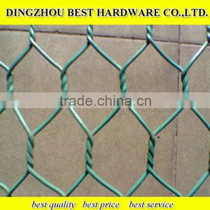 Green Pvc Coated Chicken Wire Mesh thumbnail-1