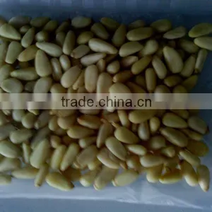 Roasted Cashew Nut and Salty Shine Skin Pumpkin Seeds thumbnail-4