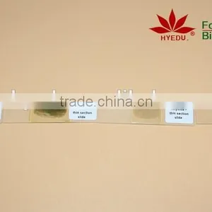 100pcs Geographical Mineral Rock Powder Slides Set thumbnail-3