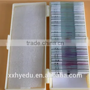 Lab Microscope Prepared Slides , Glass 52kinds Bacterial Prepared Slides,science Prepared Slides thumbnail-5