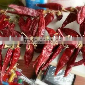 Dried Amercia Red Chilli,dr. Pepper thumbnail-1