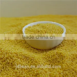 2016 Crop Glutinous Yellow Millet Sticky Millet for Rice Cake thumbnail-4
