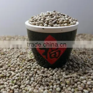 Hemp Seeds With High Quality 2016 Crop thumbnail-2