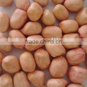 Supply Peanut Kernel thumbnail-1