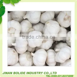 Fresh Normal White Garlic Whit Good Quality thumbnail-4