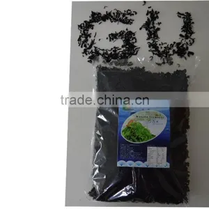 Dried Seaweed thumbnail-1