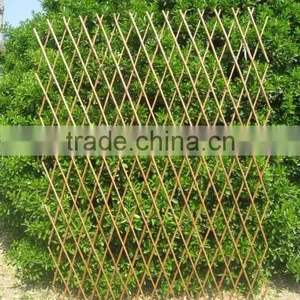 Trellis thumbnail-1