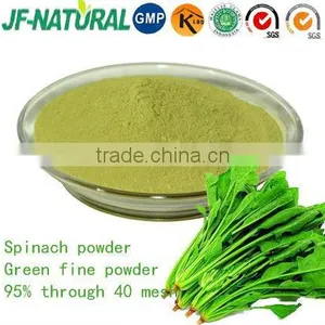 Natural Spinach Powder Vegetable Powder ISO, GMP, HACCP, KOSHER, HALAL Certificated. thumbnail-1