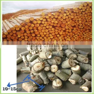 Stable Performance Pto Driven Wood Chipper/ Wood Crusher Machine/ Wood Cutting Machine thumbnail-2