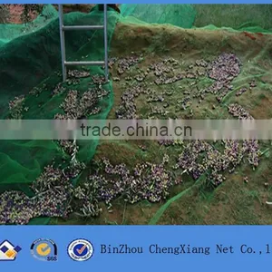 Green Net for Olive Harvesting thumbnail-1