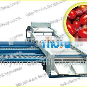 THOYU Brand Stainless Steel Dates Fruit Grading Machine by Size(0086 15937167907) thumbnail-1