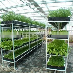 Piping Type Hydroponic System thumbnail-2