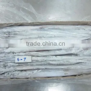 Frozen Belt Fish thumbnail-3