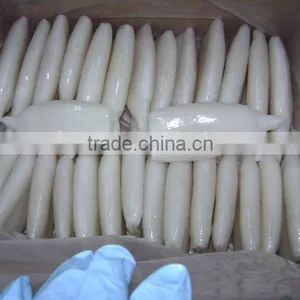 Frozen Squid Tube With Nice Quality thumbnail-1