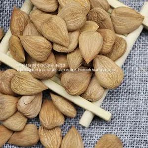 Apricot Kernel thumbnail-1