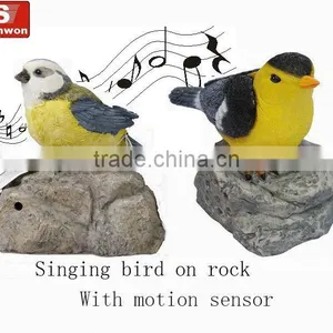 Music Bird thumbnail-1
