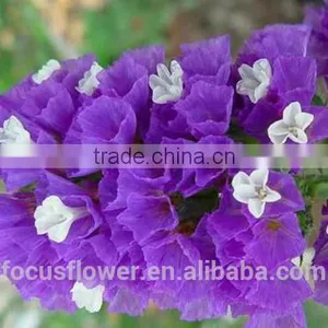 Best Selling Bridal Bouquets Statice Multi-colored for Interior Decoration thumbnail-1