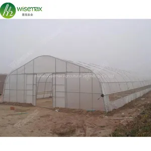 Hot Sale Commercial Polycarbonale Small Single Span Greenhouse thumbnail-1